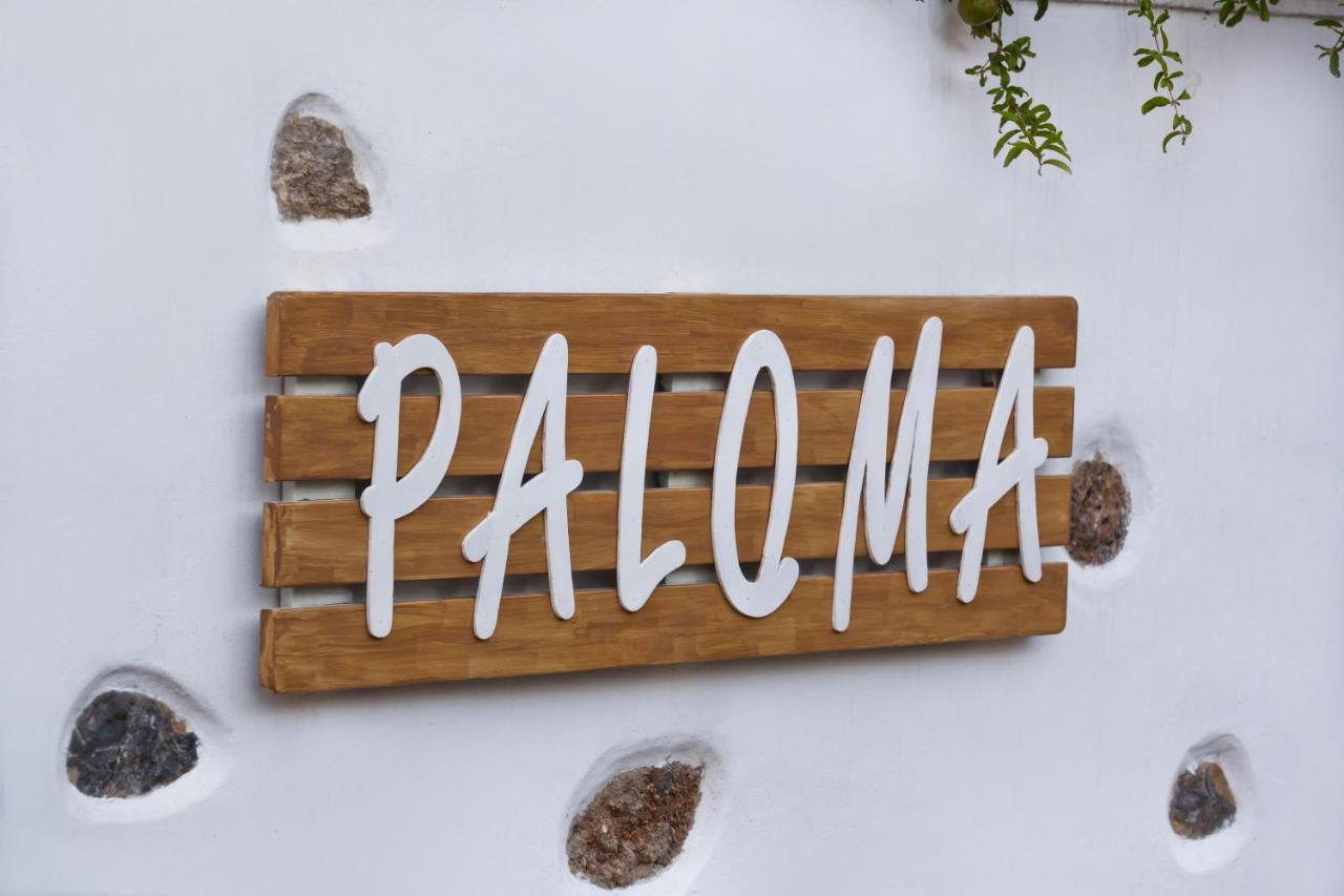 Paloma Luxury Studios Panormos  외부 사진